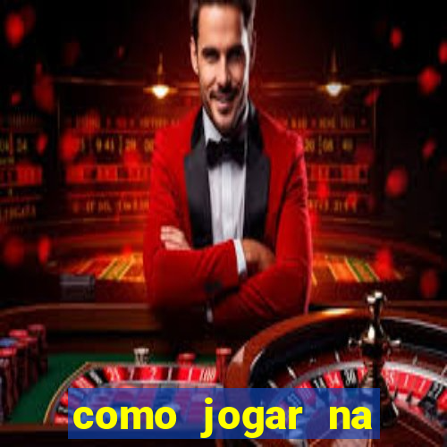 como jogar na teimosinha da lotofacil